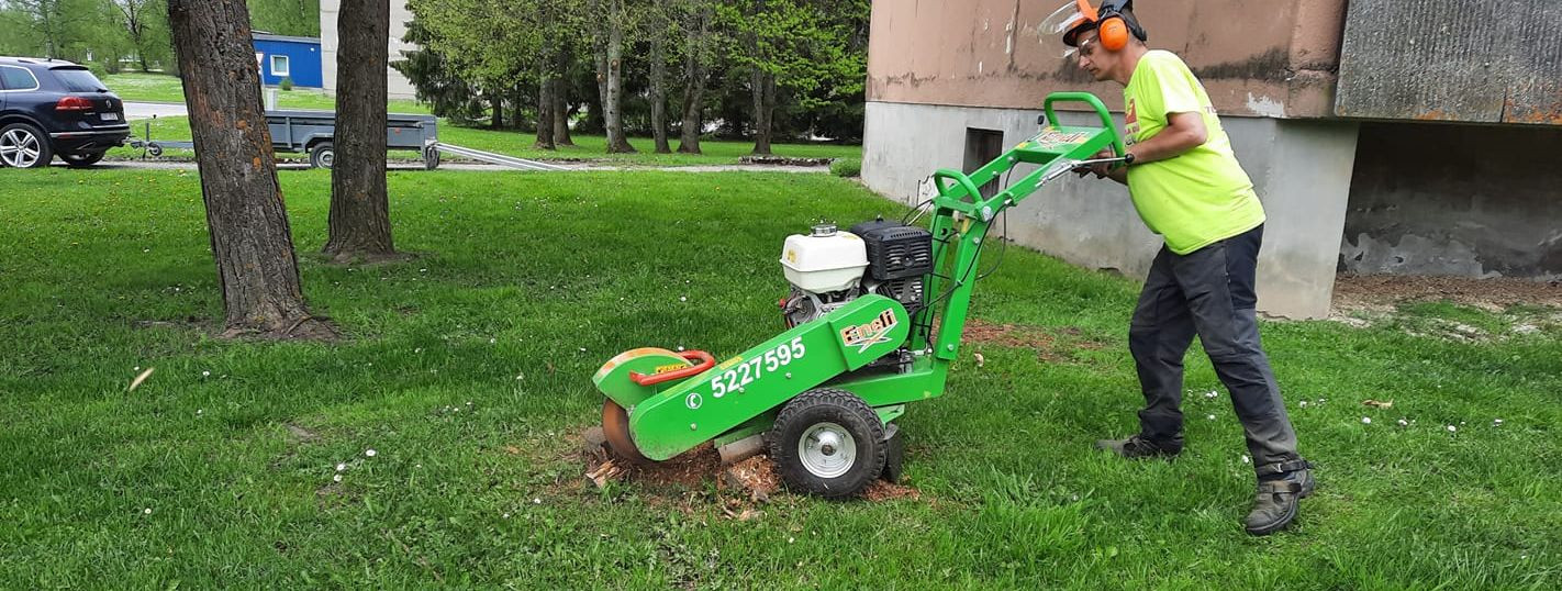 Kändude freesimine on tänapäeval üks kõige tõhusamaid meetodeid, et vabaneda vanadest ja ebameeldivatest kändudest õuealalt. Kui puu on maha võetud, jääb sageli