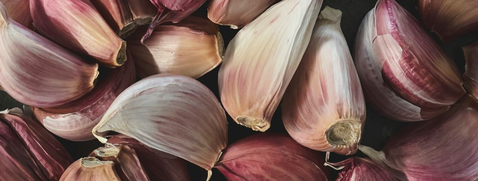 Küüslauk, teaduslikult tuntud kui Allium sativum, on rohkem kui lihtsalt põhikoostisosa maailma köökides; sellel on tuhandete aastate pikkune ajalugu. Vana tsiv