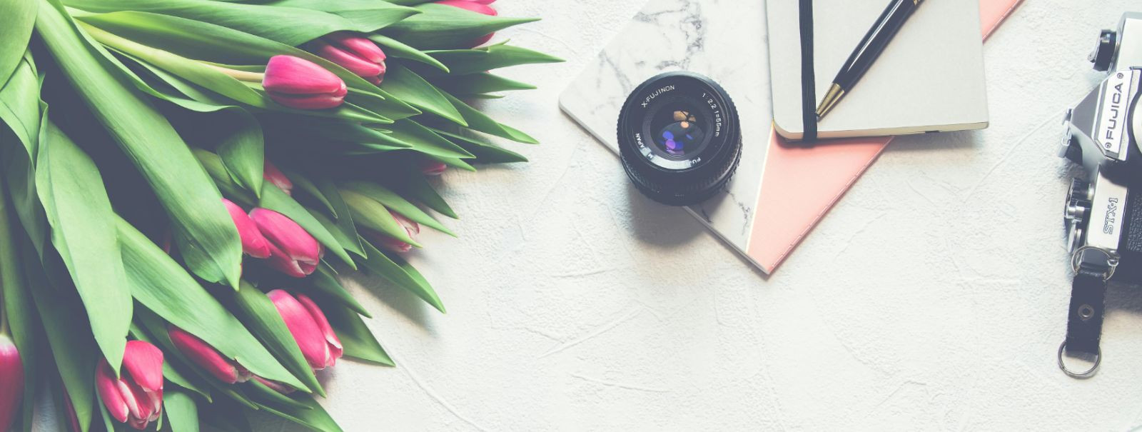 OÜ Little Fox põhitegevuseks on kunstialane loometegevus.  OÜ Little Fox asutati 22.04.2014.  Ettevõtte põhitegevusaladeks on kodulehtede valmistamine, fotograa