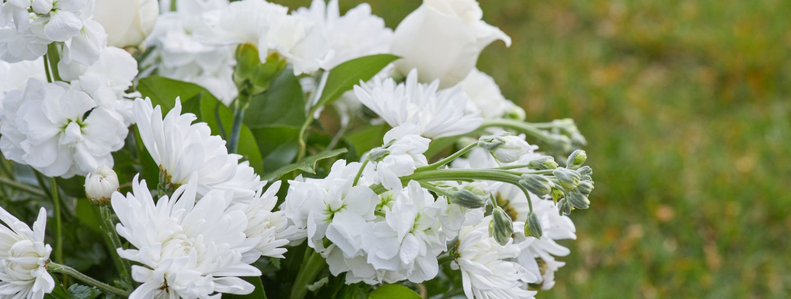 Flowers have long been a universal symbol of beauty, love, and life. Their vibrant colors and delicate forms can convey a range of emotions, making them a power