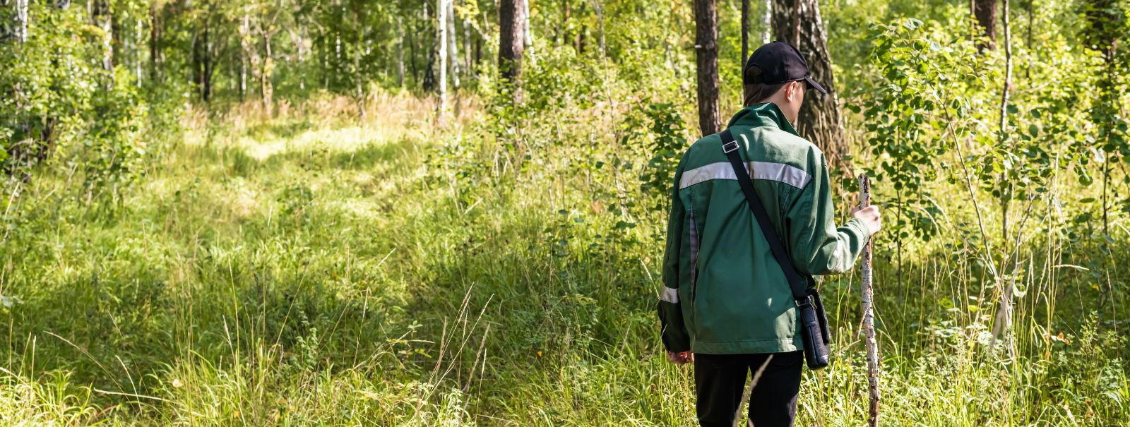 Metsamaa turuväärtuse määramine on esimene samm selle potentsiaali maksimeerimisel. See hõlmab puidu suuruse, asukoha ja kvaliteedi hindamist ning maa ligipääse
