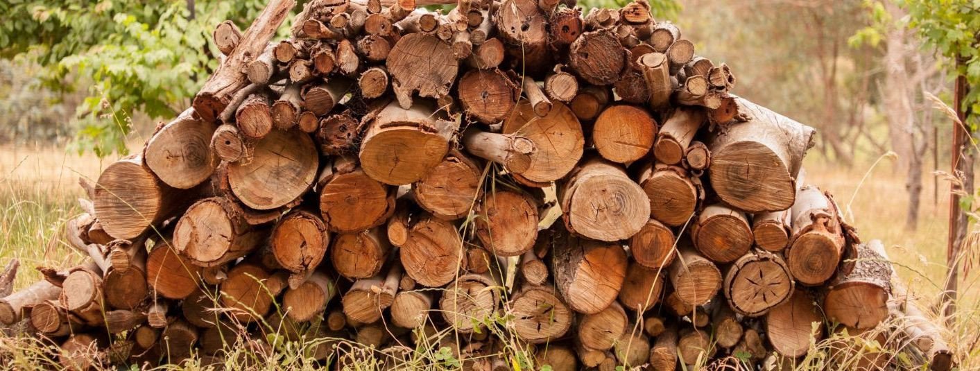 Stykel OÜ on juba üle 30 aasta tegutsenud Eesti ettevõte, mille peamiseks tegevusalaks on puidu lisaväärindamine ja müük. Lisaks koduturule Eestis on nad laiene