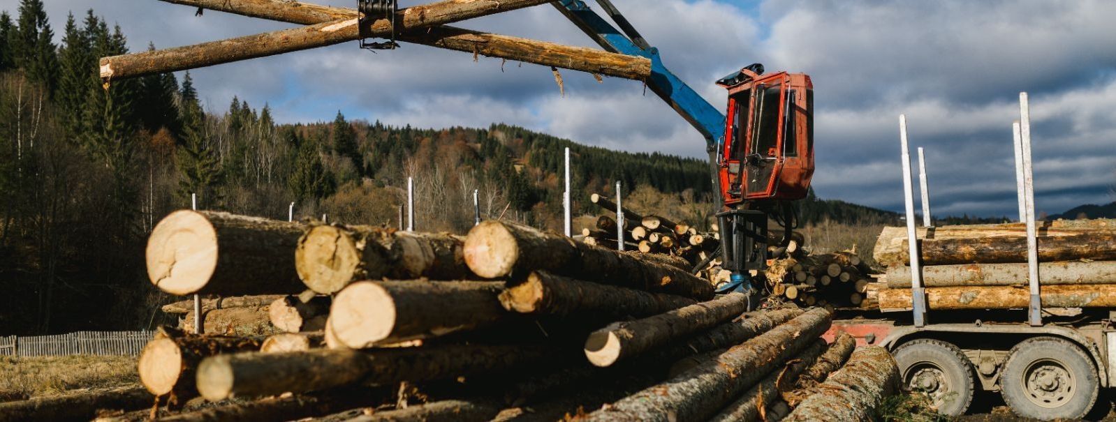 Metsamajandus – säästlik tulevik metsadele ja inimestele Metsamajandus ...