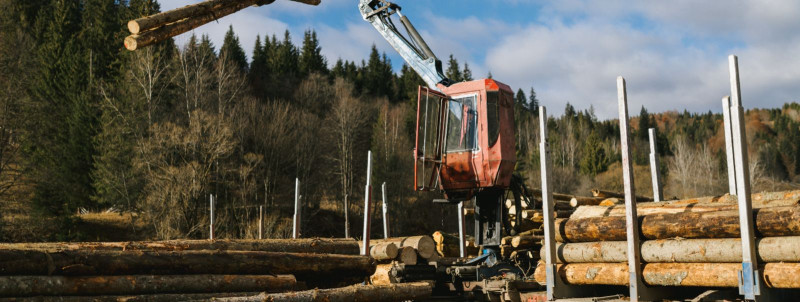 Metsanduse tulevik: suundumused raieteenusel