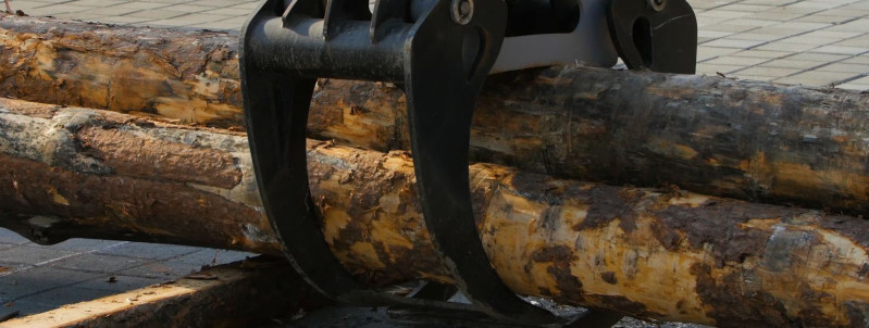 Metsandustegevus: ökoloogia ja majanduse tasakaalustamine