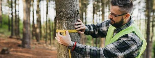 Metsad on looduse aarded, mis pakuvad meile mitmekesist ökosüsteemi, puhast õhku ja toimivat ökoloogilist tasakaalu. Metsaraie on üks oluline osa metsamajanduse