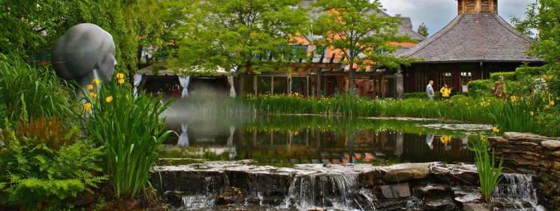 Mida kujutab endast hooajaline aia hooldamine? 