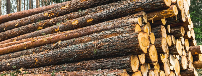 Miks oleme just Meie saematerjali tootmise meistrid?