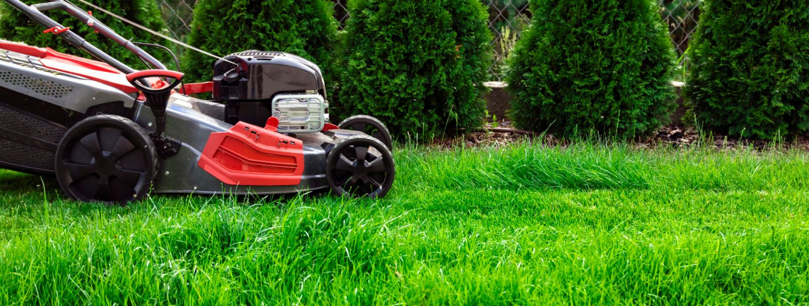 Maintaining a beautiful lawn is about more than just keeping up appearances; it's a commitment to the health and vitality of your property. A well-manicured law