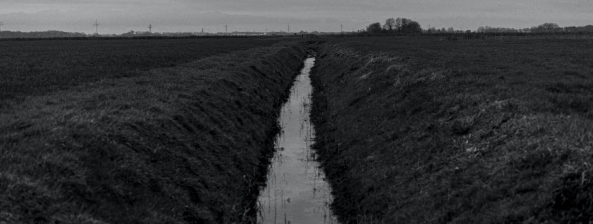 Kuivenduskraavid on paigaldatud teedele ja muudele maastikele, ...