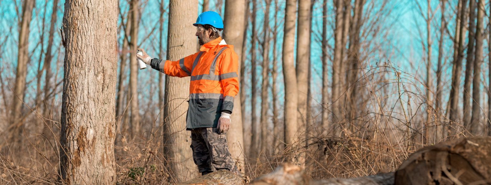 Cutting rights refer to the legal authority granted to an individual or company to harvest timber from a landowner's property. This agreement can be structured 