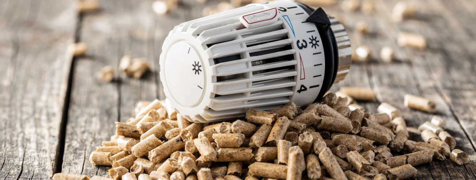 As homeowners, property developers, and small to medium-sized enterprises in Estonia seek sustainable and cost-effective heating solutions, pellet heating emerg