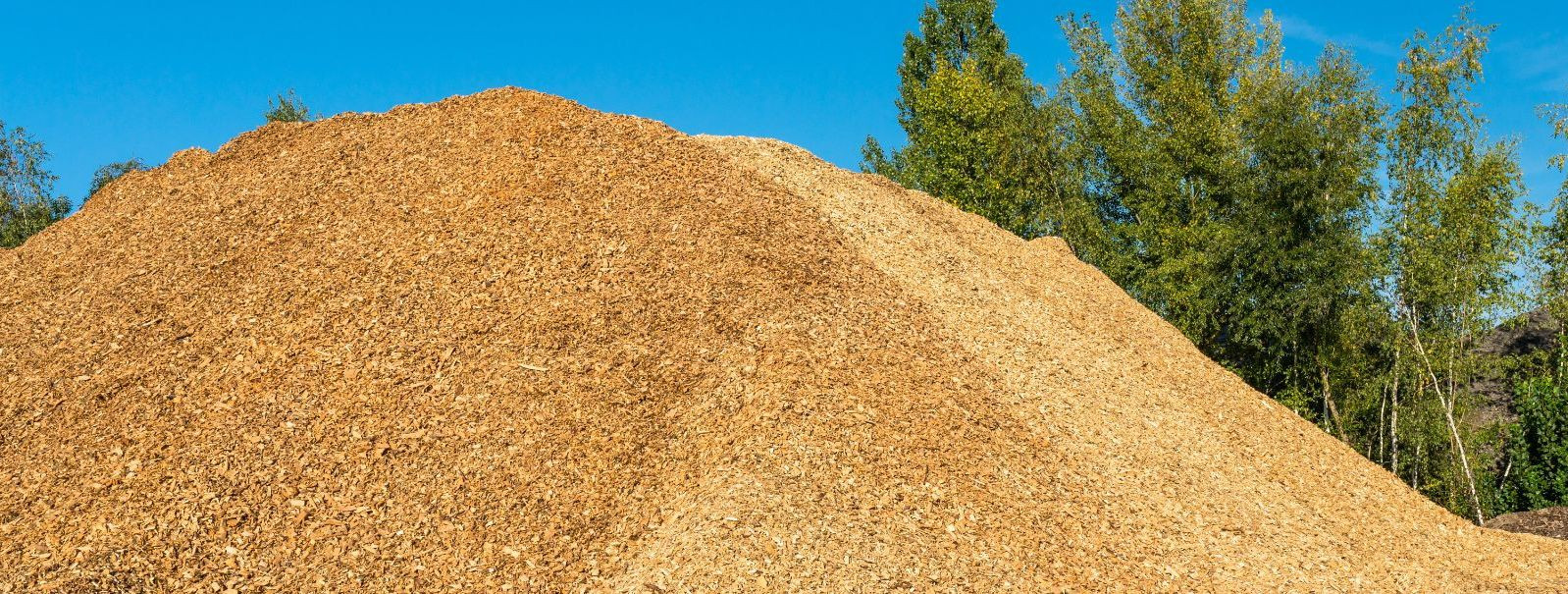 Wood chips are a versatile byproduct of the timber industry, commonly used for a variety of purposes, from bioenergy to mulch. However, traditional wood chip pr