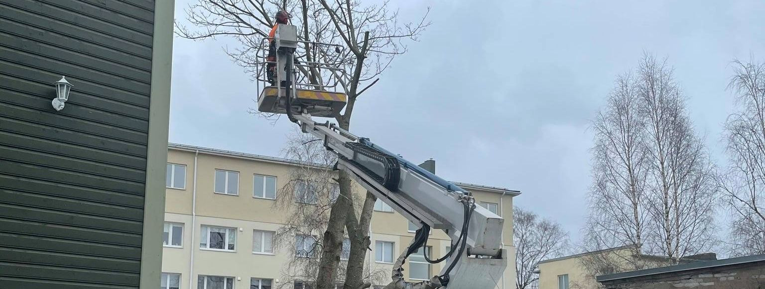 Tree felling is a critical service for maintaining the safety, aesthetics, and health of both urban and rural landscapes. It involves the careful removal of tre