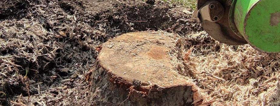 Stump grinding is a method of removing tree stumps after a tree has been cut down or has fallen. This process involves the use of specialized equipment to grind