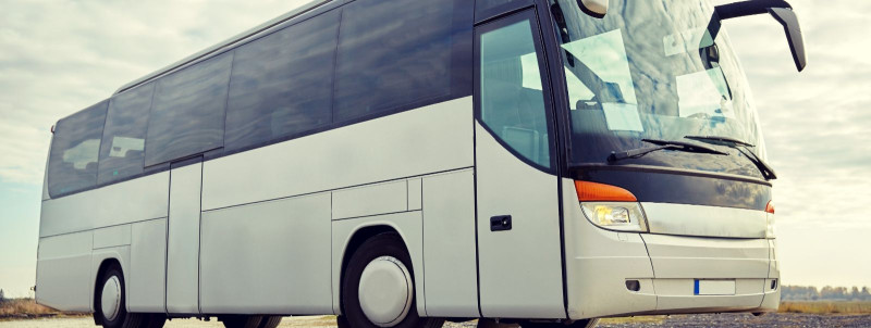 Milliseid eeliseid pakub bussireis kooligrupile ?