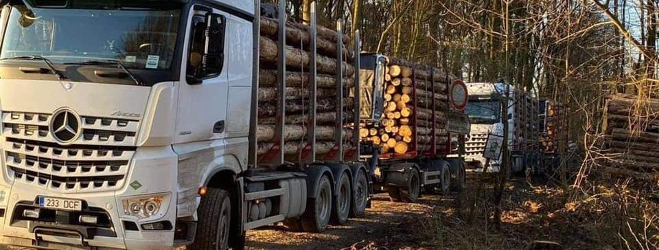 Metsandustööstus seisab ristteel, kus nõudlus puidu ja metsatoodete järele jätkuvalt kasvab, samal ajal kui keskkonna kaitsmise vajadus pole kunagi olnud selgem