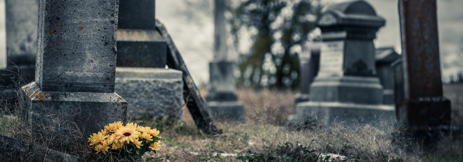 Skulpturaalsed hauakivid ei ole lihtsalt märgid, mis tähistavad lahkunu puhkepaika; need on sügavad elu, kunsti ja mälu väljendused. Need kolmemõõtmelised monum