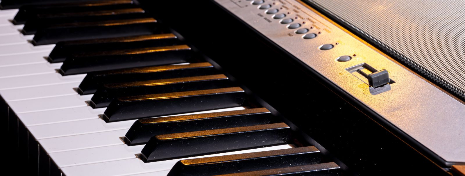 Muusikalisele teekonnale asumine nõuab õiget instrumenti ja paljude jaoks on klaviatuur viisiks meloodiate ja harmooniate valdamiseks. Täiusliku klaviatuuri val