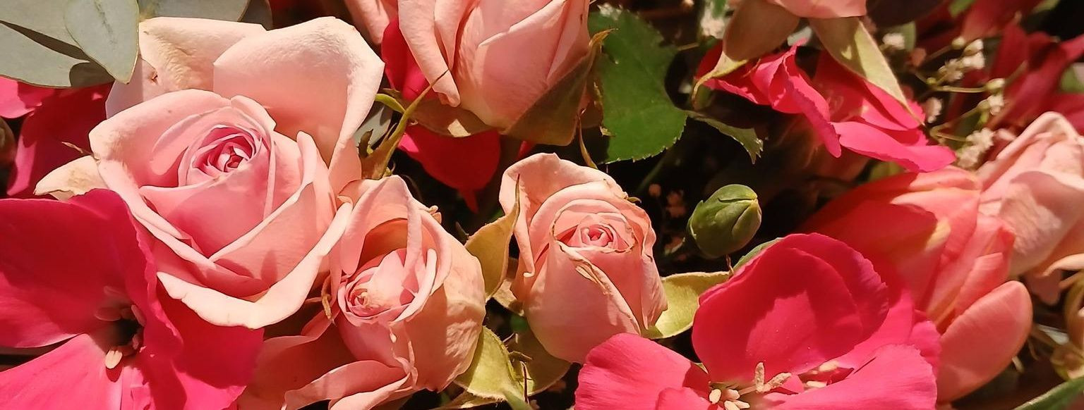 Otsid ilusaid lilli, erilisi lillekimbud või professionaalseid lilleseadeid? Vaata meie laia valikut lõikelilli, lillekimbusid, lilleseadeid ja kinkekimpe ning 