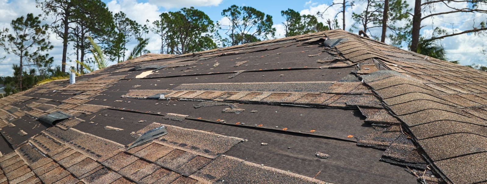 Under-roof damage can manifest in various forms, from leaks and water damage to structural compromise and insulation issues. Understanding the different types c