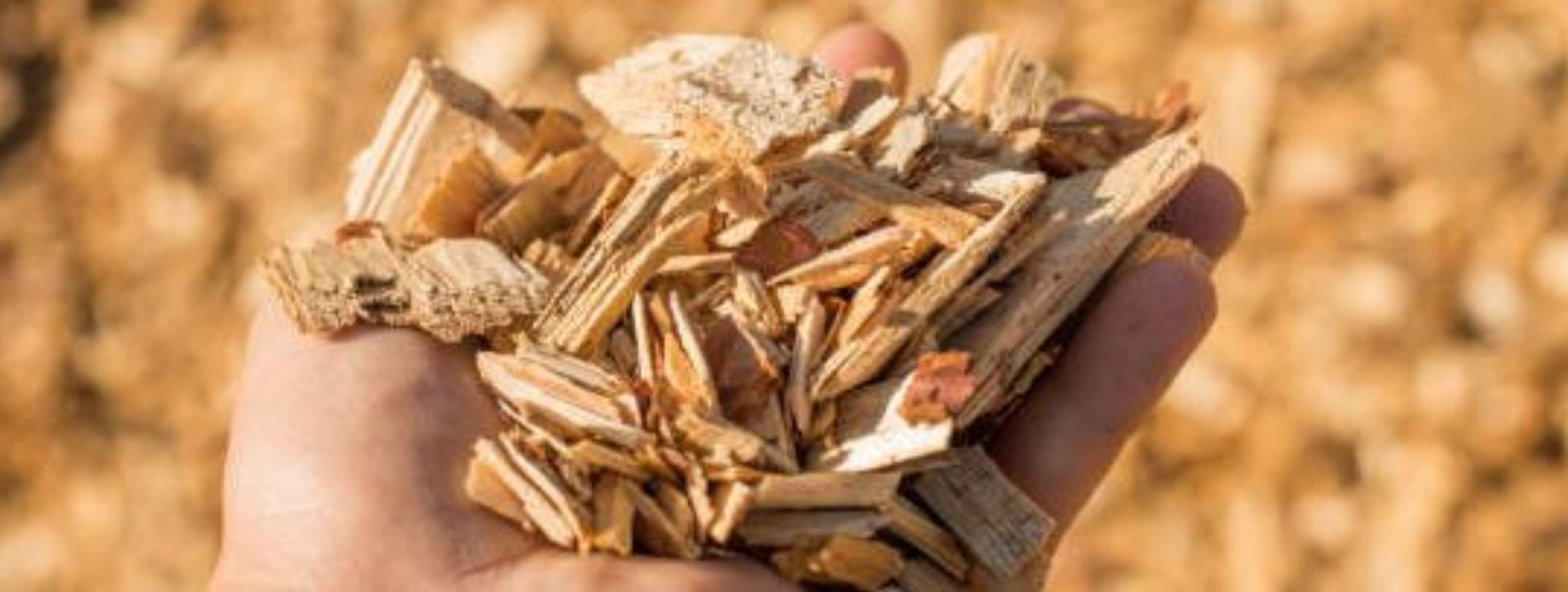 Hakkpuit on mitmekülgne ja keskkonnasõbralik puidumaterjal, mida saab valmistada erinevatest allikatest pärit toormaterjalidest. Eraisikute ja firmade jaoks, ke