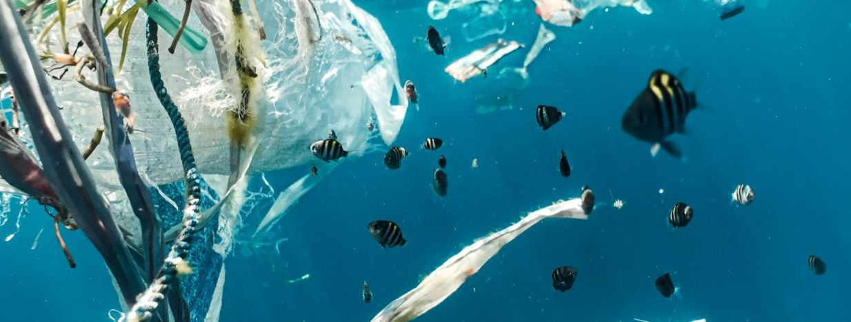 Blue Beauty liikumine on jätkusuutliku ilu ja kosmeetikatoodete revolutsioon, mille eesmärk on pöörata tähelepanu keskkonnasõbralikele ilubrändidele ja edendada