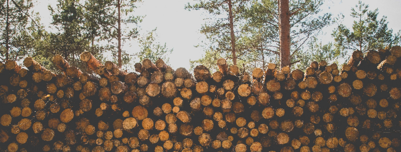 Saematerjali hind sõltub esiteks puidu tüübist ja kvaliteedist. Erinevate puuliikide ja sortide omadused nagu tihedus, tugevus, niiskuskindlus jms mõjutavad nen