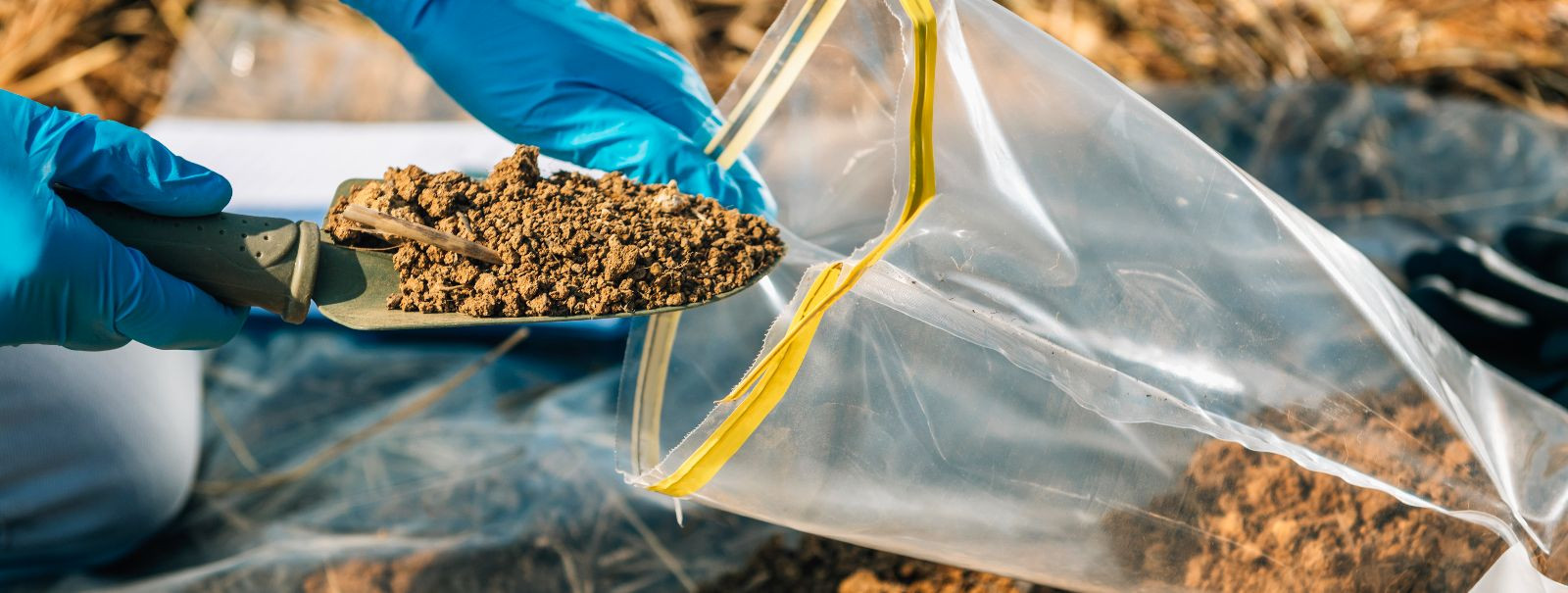 Soil pollution refers to the presence of toxic chemicals, heavy metals, or other pollutants in the soil at levels that pose a risk to human health and the envir