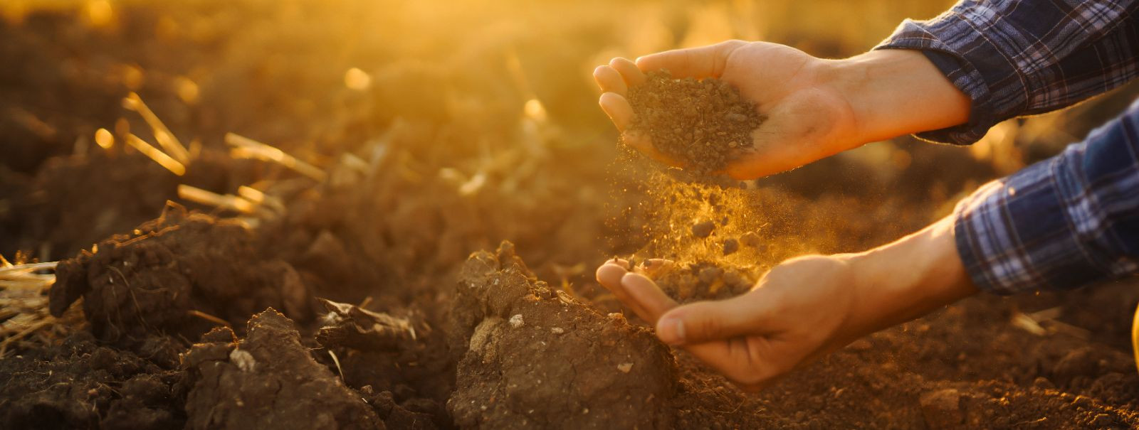 Soil health is the continued capacity of soil to function as a vital living ecosystem that sustains plants, animals, and humans. It's a state where soil can mai