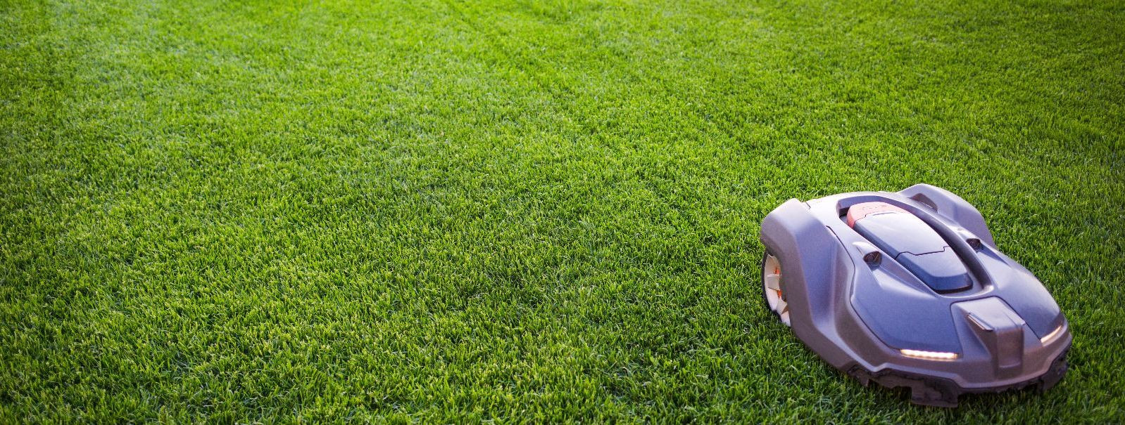 A well-maintained lawn is not only a testament to the beauty of nature but also serves as a functional space for outdoor activities. It reflects the care and at