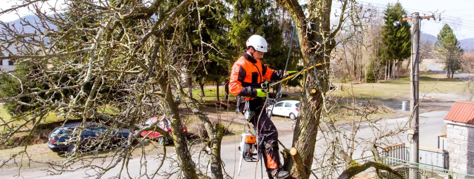 Ohtlike puude langetamine on ülioluline ülesanne, mis nõuab eriteadmisi, oskusi ja ennekõike ohutust. Selleks, et tagada turvaline ja tõhus puude eemaldamine, k