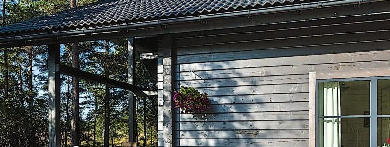 Palkmajad on olnud sajandeid rustikaalse võlu ja jätkusuutliku ...