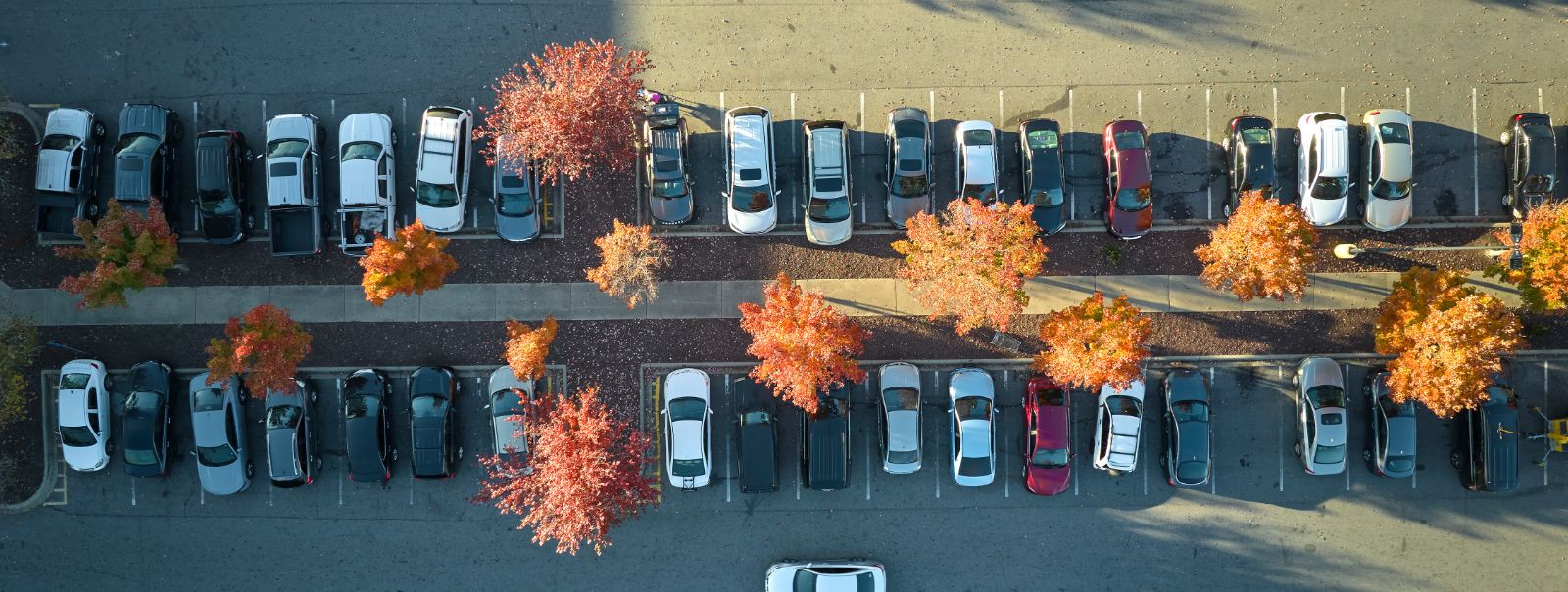 Imagine a world where parking your vehicle is as simple as glancing at your wrist. That world is now a reality with the advent of the parking watch, a revolutio