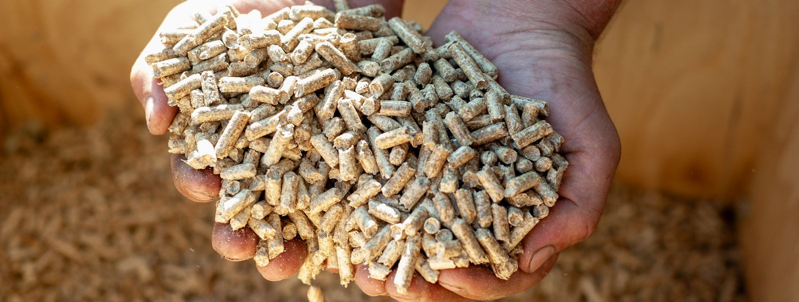 Pelletikatlad on biomassikatlad, mis põletavad kokkupressitud puitu või biomassi pelleteid, et tekitada soojust elamutele või äripindadele. Nad on üha populaars