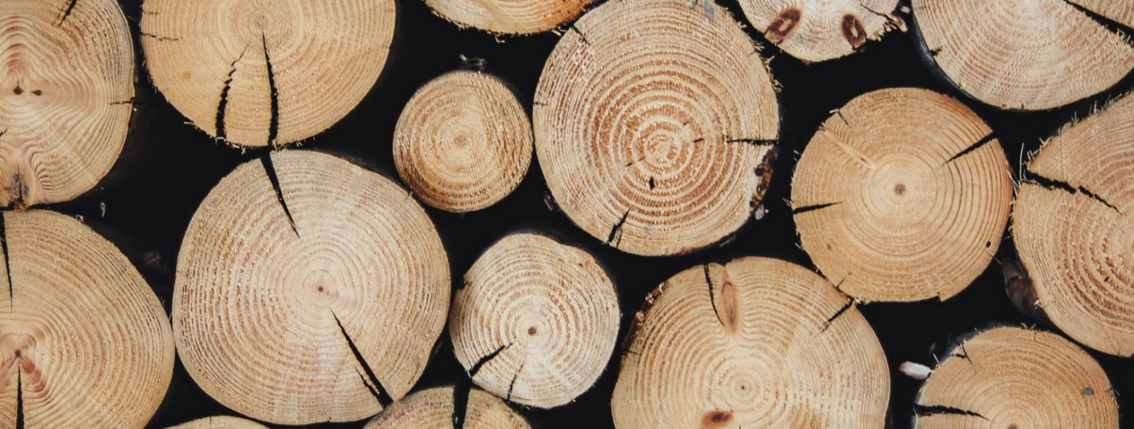 Puidu koristamine on metsamajanduse kriitiline komponent, tasakaalustades vajadust puidutoodete järele ja metsaökosüsteemide tervist. Jätkusuutlik puidu saagiku
