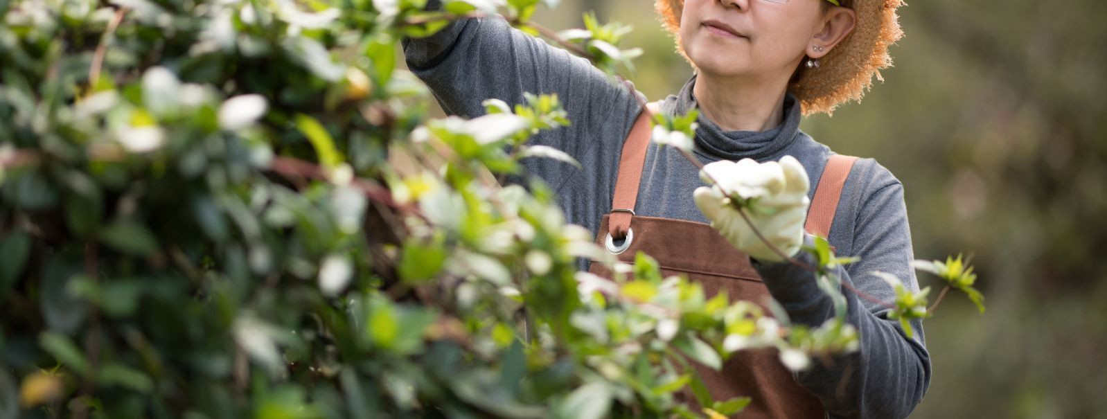 Creating a neat and tidy garden is both an art and a science. It requires a keen eye for design and a thorough understanding of plant health and maintenance. Tr