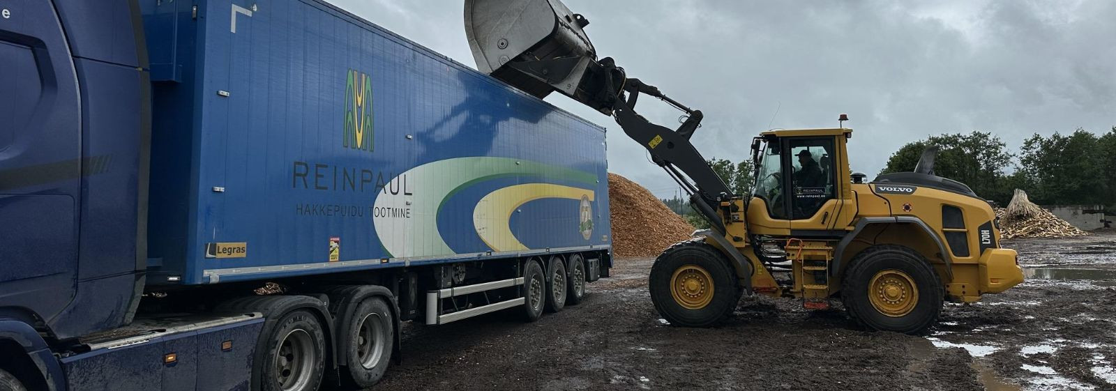 OÜ REINPAUL (edaspidi OÜ) on kantud äriregistrisse 10.04.1996, tootmistegevust alustati 02.05.1996 .  2024. a. müügitulust oli taimsest biomassist tahkekütuste 