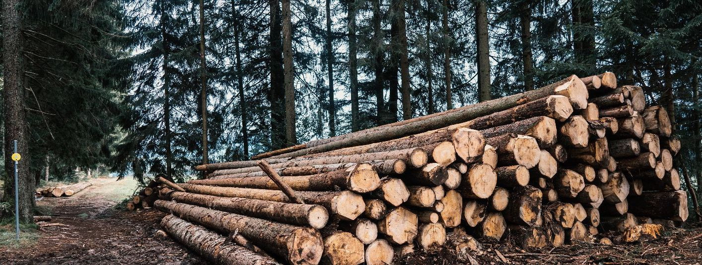 Metsandus on Eestis üks olulisemaid majandusharusid, kuid selle areng peab käima käsikäes keskkonnahoiuga. Raietööd on metsanduses kesksel kohal ning nende õige