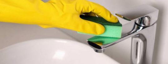 Sanitaarruumide puhastamine on ülioluline osa igapäevasest hooldusest, ...