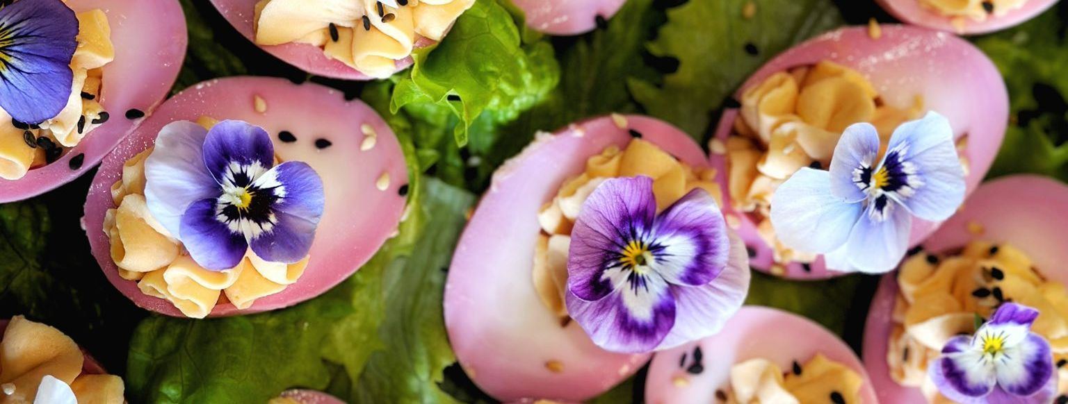 TA.AM OÜ alustas tegevust 2006. aastal.  Juhatuse liikmetele aruandeperioodil tasu ei makstud.