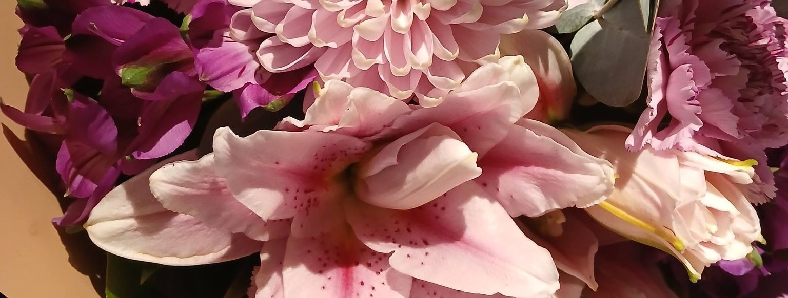 Tiina Lilleaed OÜ põhitegevusala oli 2023.a.-l jaekaubandus, põhiliseks müügiartikliks olid lilled. Kogu tegevus toimus Eesti Vabariigis. 2011 aastal koliti kau