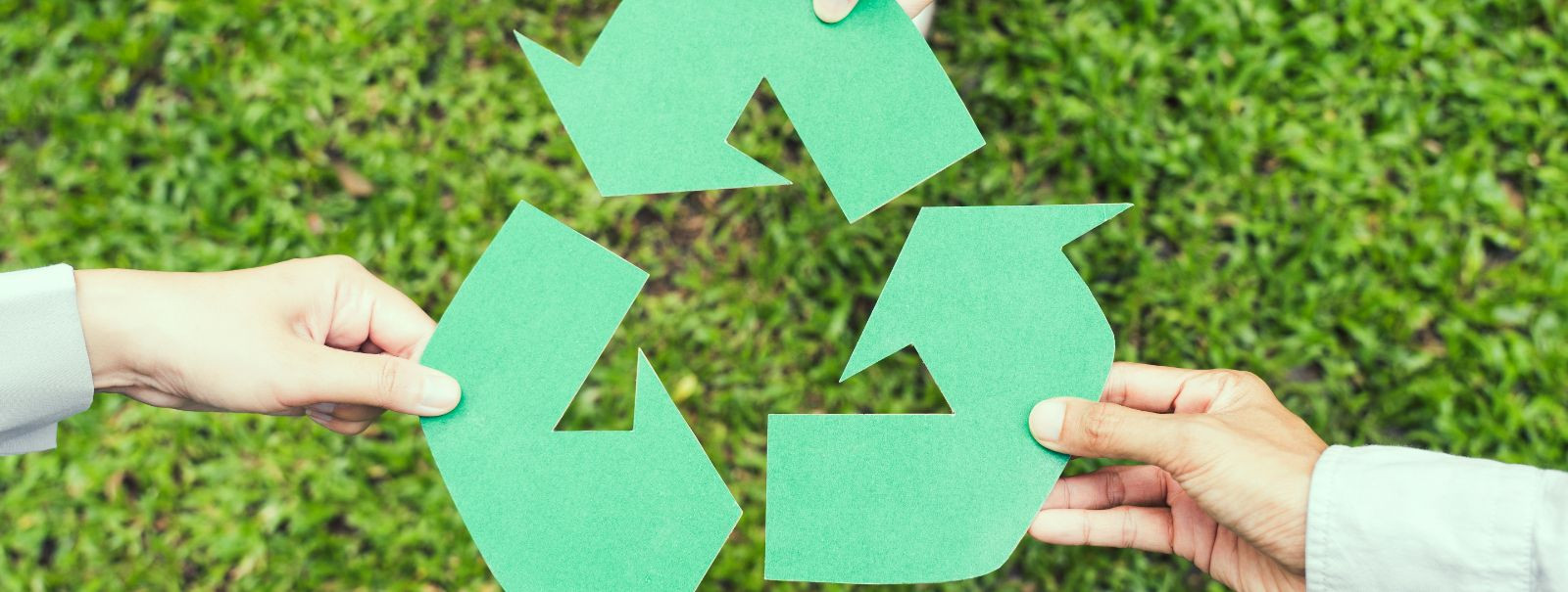 Recyclable materials are substances that can be reprocessed and used again, reducing the need for new raw materials. Common recyclable materials include paper, 