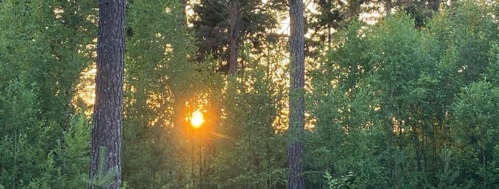 Hiiumaa saare põhjatipus asuv Tahkuna on peidetud pärl, mis ...