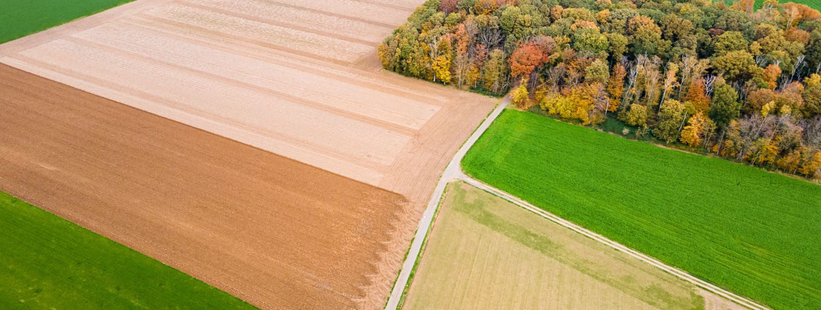 Talu- ja maatulundusmaa müük võib olla keeruline protsess, ...