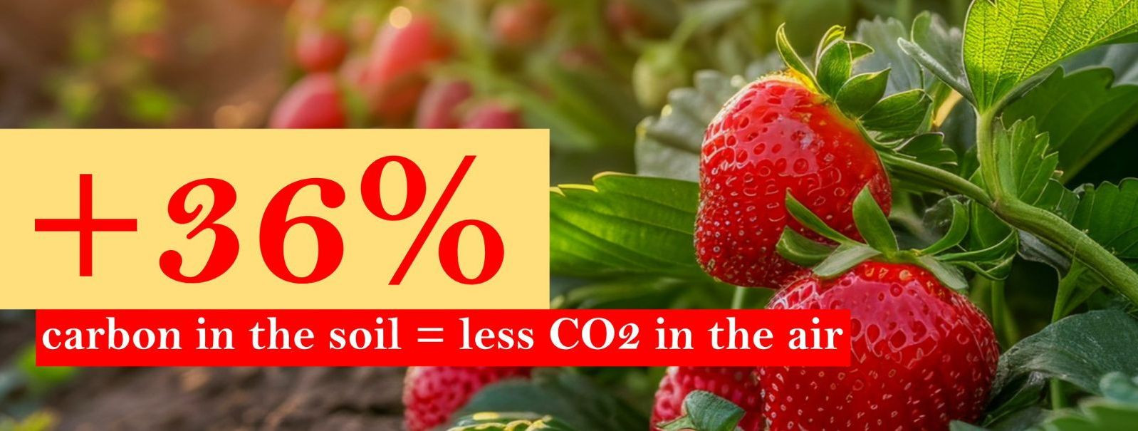 Carbon dioxide (CO2) emissions are a significant contributor to ...