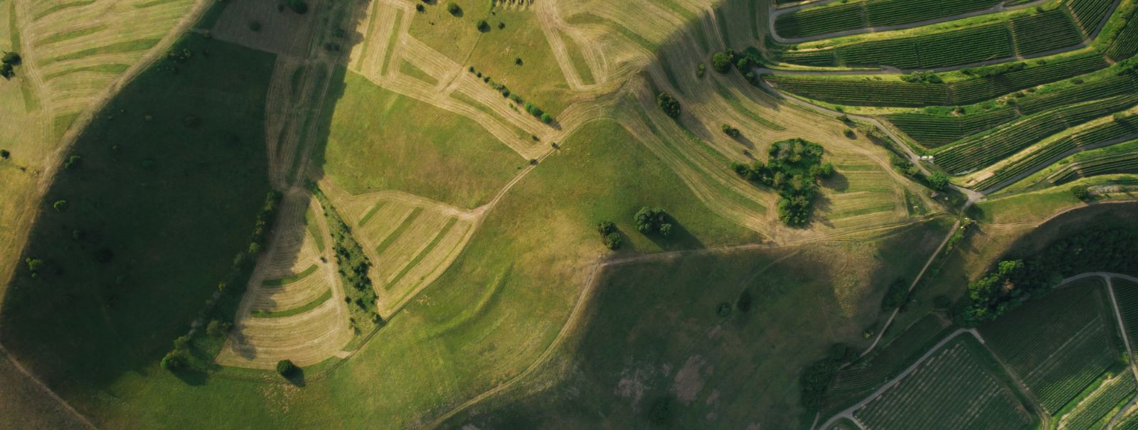 Topograafilised uuringud on maakasutuse arendamise ja linnaplaneerimise ...