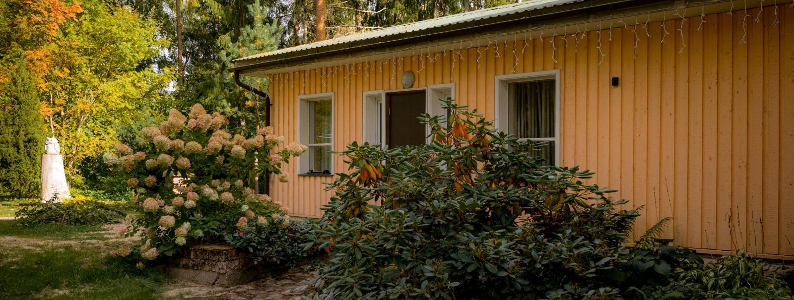 Traditsiooniline Eesti saun on rohkem kui lihtsalt pesemiskoht; ...