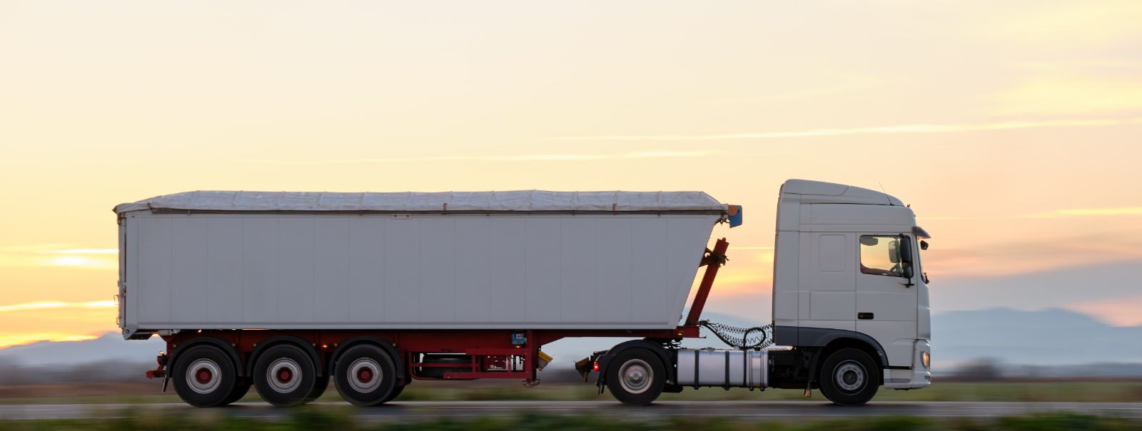 Customs authorities are the gatekeepers of national borders when it comes to the import and export of goods. They enforce a country's import and export regulati