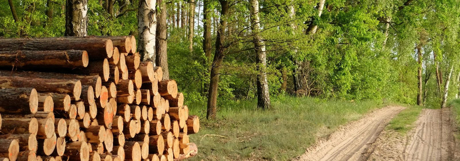 Terviklik lahendus maa, ehituse ja põllumajanduse vajadustele  Pakkumine ühendab professionaalsed  ehitusteenused , sihipärase  kinnisvaraarenduse  ja jätkusuut